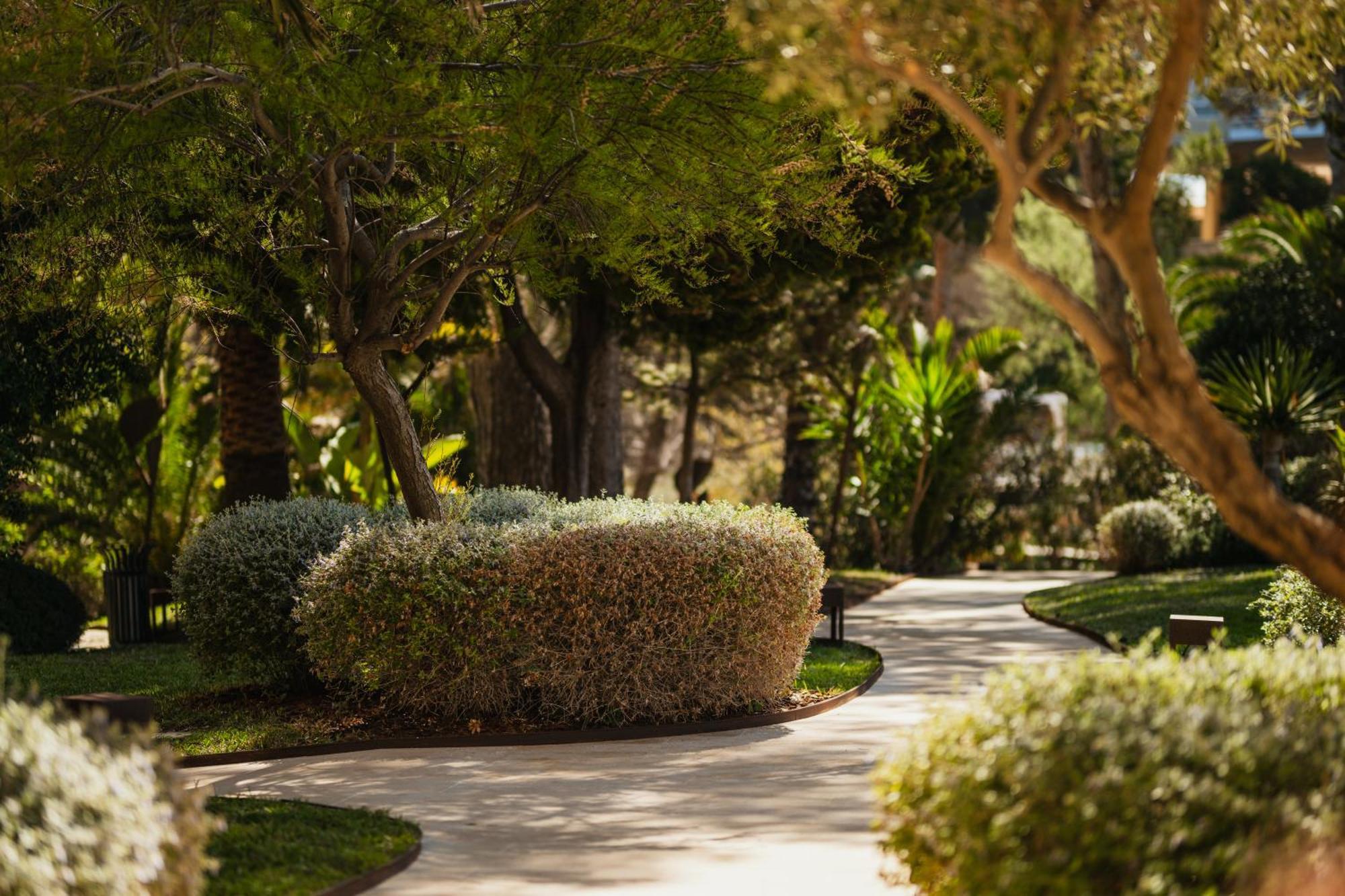 Secrets Mallorca Villamil Resort & Spa - Adults Only Peguera Exteriér fotografie A path at the resort